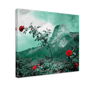 Bergroos Canvas landschap - TenStickers