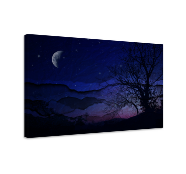 Canvas landschap nachtelijke hemel sereniteit - TenStickers
