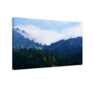 Canvas landschap majestueuze bospieken - TenStickers