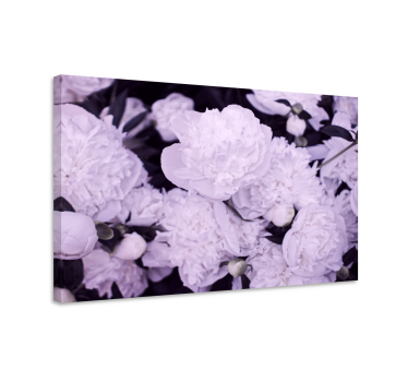 Canvas schilderij bloemen en planten paarse pioenrozen - TenStickers