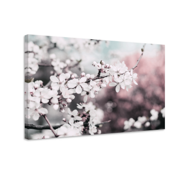 Witte kersenbloesem Canvas schilderij bloemen en planten - TenStickers