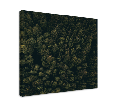 Canvas bomen weelderige bosbedekking - TenStickers