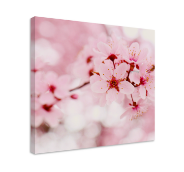 Canvas bloemen Roze bloei fotografie kunst - TenStickers