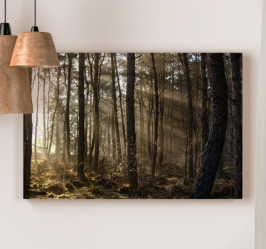 Betoverd boslandschap Canvas landschap - TenStickers