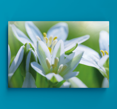 Canvas bloemen Weide van prachtige sneeuwklokjes - TenStickers