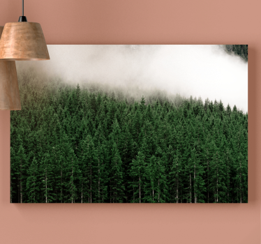 Canvas bomen mistig groenblijvend bos - TenStickers