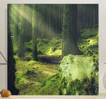 Canvas bomen zonovergoten bospad - TenStickers