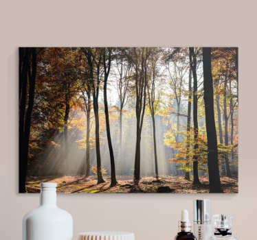 Canvas landschap boslichtstralen - TenStickers