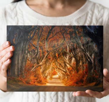 Canvas landschap mysterieuze herfstpad - TenStickers