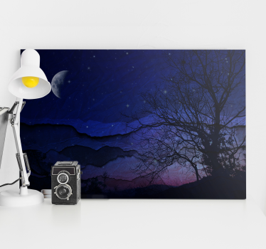 Canvas landschap nachtelijke hemel sereniteit - TenStickers