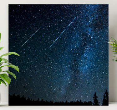 Canvas landschap sterrenhemel in de avond - TenStickers