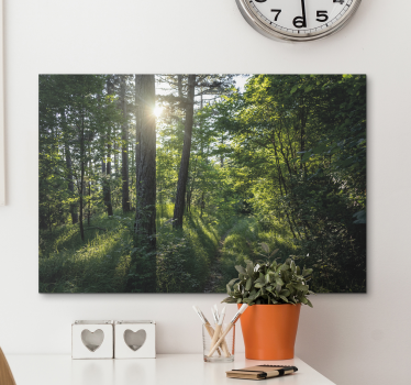Canvas landschap verlichte boswandeling - TenStickers