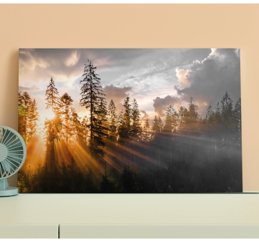 Canvas natuur landschap Bos met mist en zon - TenStickers