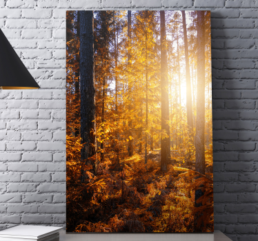 Canvas natuur landschap Bos zon bomen - TenStickers