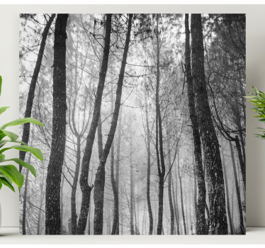 Canvas natuur landschap Mistig bos van bovenaf - TenStickers