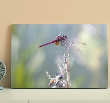 Canvas schilderij libel elegante libel op een tak - TenStickers