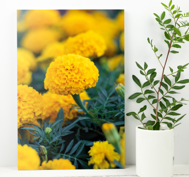 Canvas schilderijen bloemen gele goudsbloemen - TenStickers