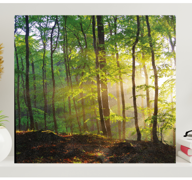 Zonnig boslandschap Canvas bomen - TenStickers