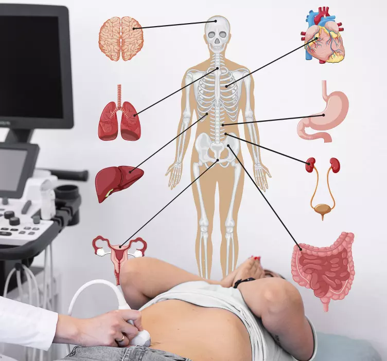 Gezondheid stickers lichaam met elementen - TenStickers