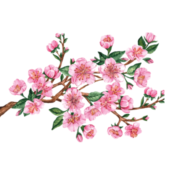 Bloesem tak Raamsticker - TenStickers