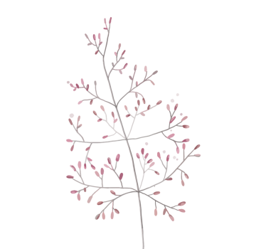 Kleine takken Raamsticker - TenStickers