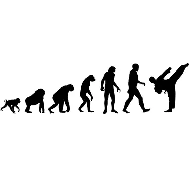 Muursticker Sport Evolutie Karate - TenStickers