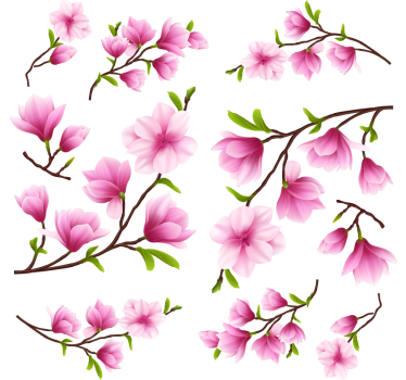 Kleurrijke magnolia bloemen raamsticker - TenStickers