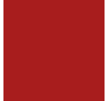 Zelfklevende folie - Mat Rood - TenStickers