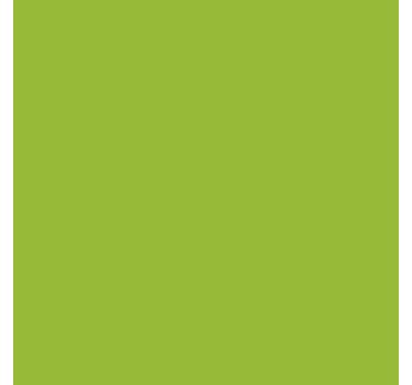 Zelfklevende folie - Mat Lichtgroen - TenStickers
