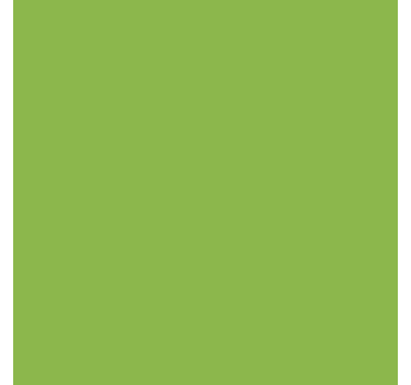 Zelfklevende folie - Mat Groen - TenStickers