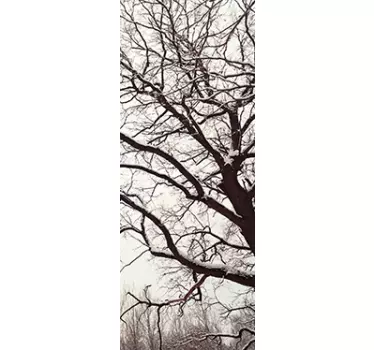 Douchewand sticker bomen - TenStickers