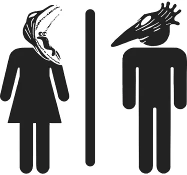 Toiletdeur sticker Bitelchus man en vrouw - TenStickers