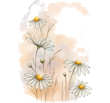 Aquarella madeliefjes meubel sticker - TenStickers