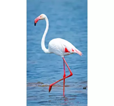 Douchewand sticker flamingo - TenStickers