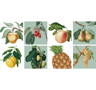 Muursticker keuken met tegels groeiend fruit - TenStickers