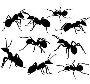 Set van mieren woonkamer muur decor - TenStickers