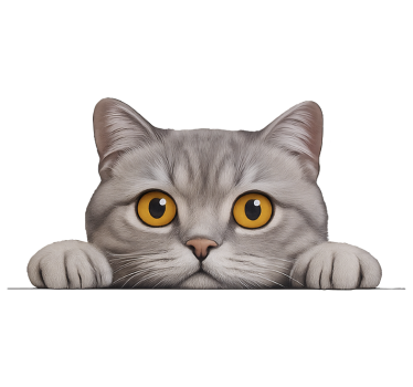 Raamsticker kijkende nieuwsgierige kat - TenStickers