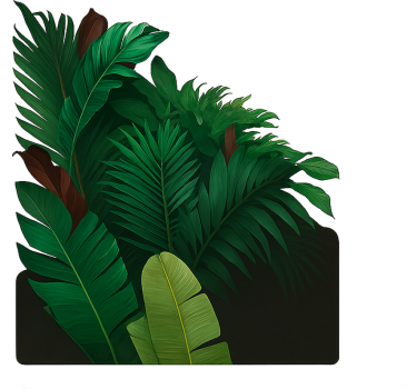 Raamsticker groene tropische bladeren - TenStickers