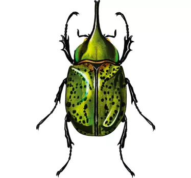 Muurstickers insecten Groene kever - TenStickers