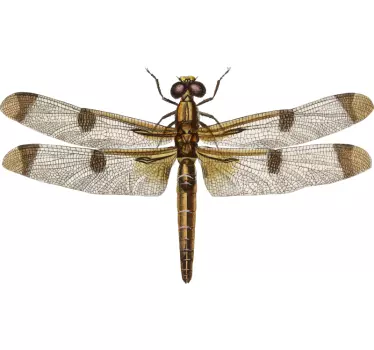 Muurstickers insecten Groene libelle - TenStickers