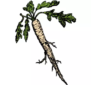 Witte wortel sticker - TenStickers
