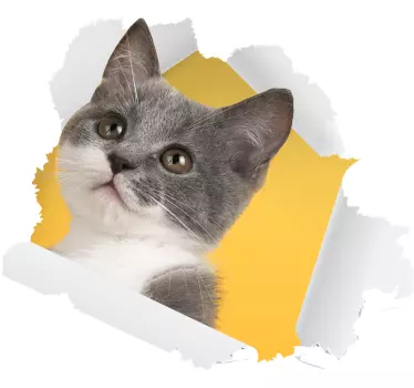 3D muursticker woonkamer met kat - TenStickers