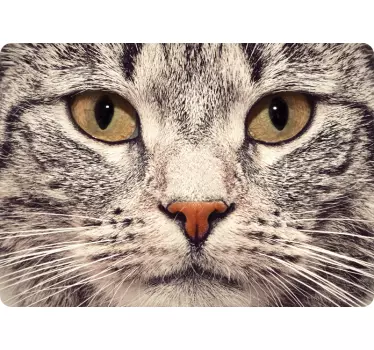 Kattengezicht laptop huid - TenStickers