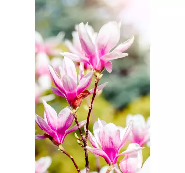Raamsticker met magnolia-ontwerp - TenStickers