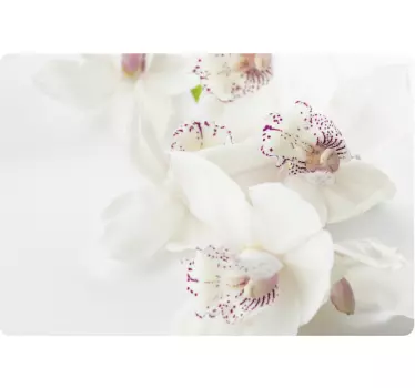 Witte orchidee laptopsticker - TenStickers