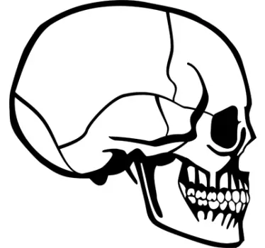 Sticker Laptop schedel - TenStickers