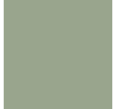 Zelfklevende folie - Salie groen - TenStickers