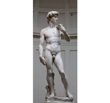 David Michelangelo koelkast sticker - TenStickers