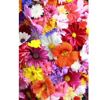 Koelkast sticker ijskast bloemen - TenStickers