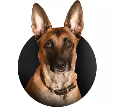 Muursticker Belgische herder - TenStickers